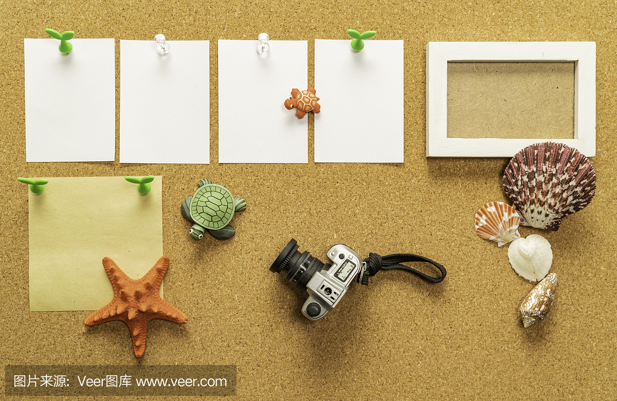 四張空白白紙,一張空白黃紙,配相框、相機、海貝、海星、海龜