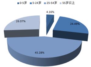 2017-2022年中國旅游電子商務市場運行態(tài)勢與投資策略分析報告 聚焦國內旅游業(yè)務經營